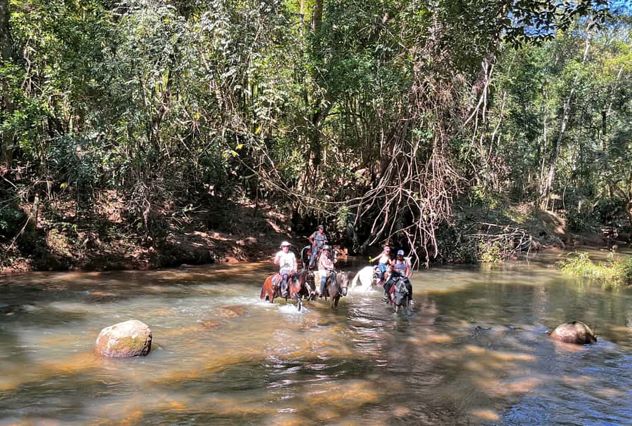 Paraty: 3-Hour Rainforest Horseback Ride - A guide who treats the horses well