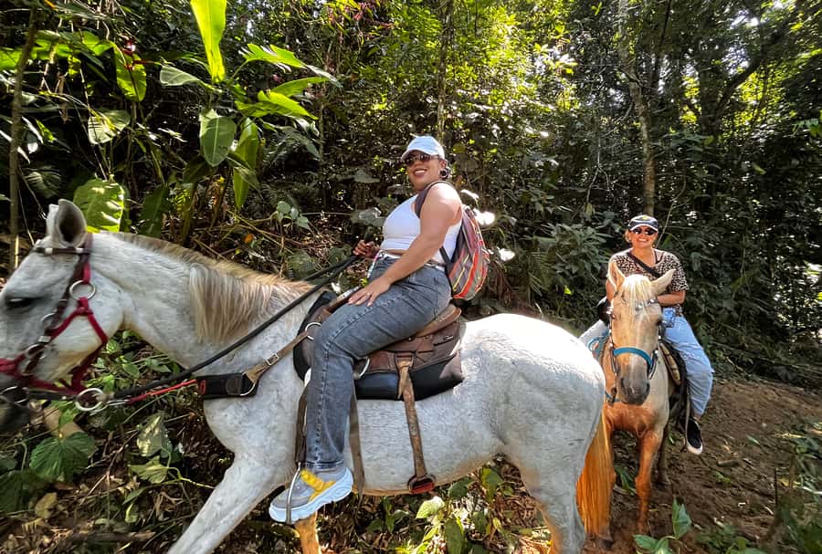 Paraty: 3-Hour Rainforest Horseback Ride - How the riding pace may feel
