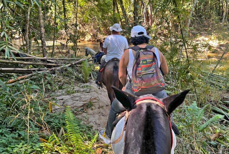Paraty: 3-Hour Rainforest Horseback Ride - What the $120 price really covers