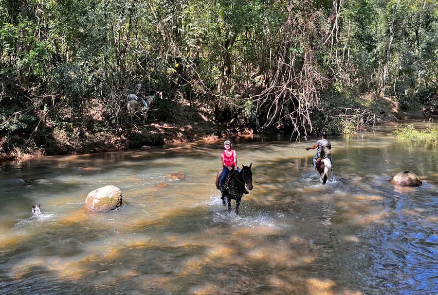 Paraty: 3-Hour Rainforest Horseback Ride - From Av. Roberto Silveira to Pedras Azuis