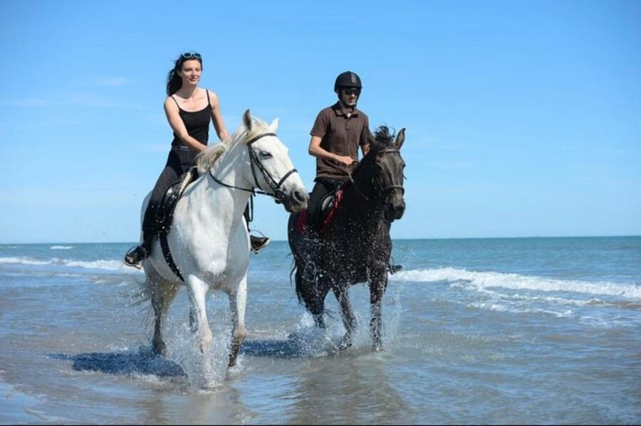 Paros: Morning Island Horseback Riding Adventure - Five things to know before you book
