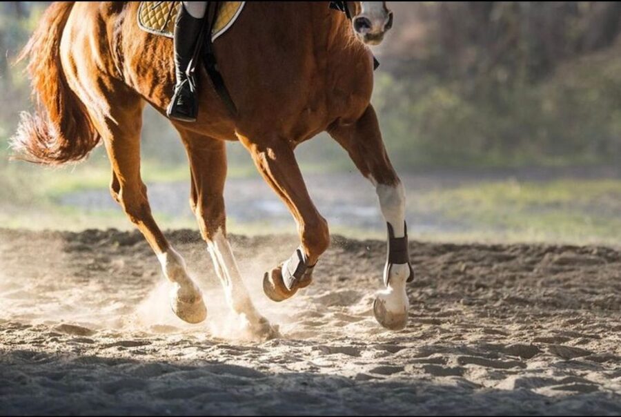 Paros: Morning Island Horseback Riding Adventure - Starting the morning near Paroikia