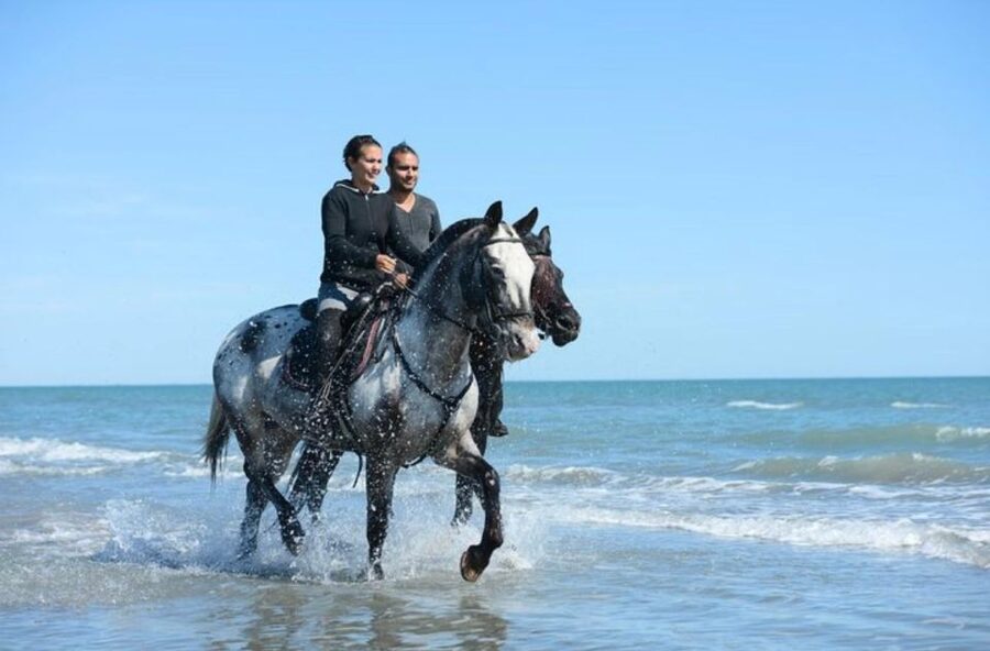 Paros: Morning Island Horseback Riding Adventure - Is $102 a fair price?