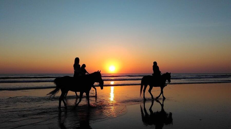 Paros: Morning Island Horseback Riding Adventure - Practical tips for a smoother ride
