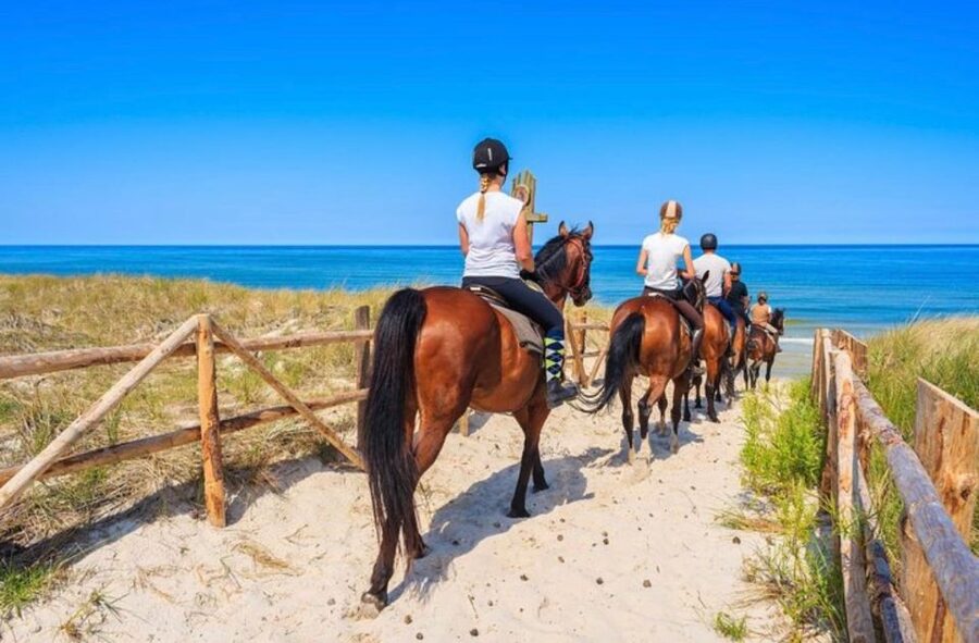 Paros: Morning Island Horseback Riding Adventure - Learning to ride before leaving the yard