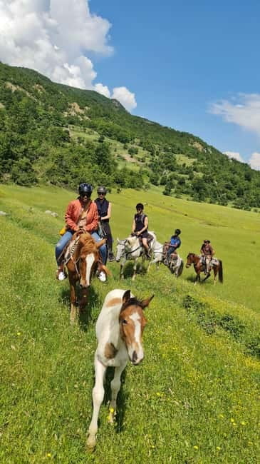 Përmet: Amazing Horse Riding Experience at Vjosa NP - Calm horses and a reassuring guide