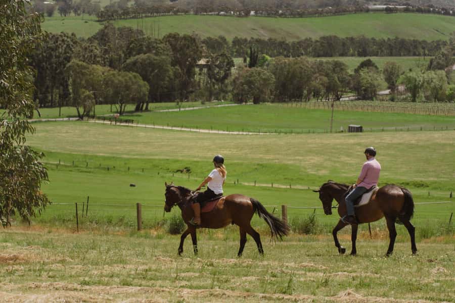 Petaluma: Horseback Riding and Wine Tasting Tour - Key Points Before You Book