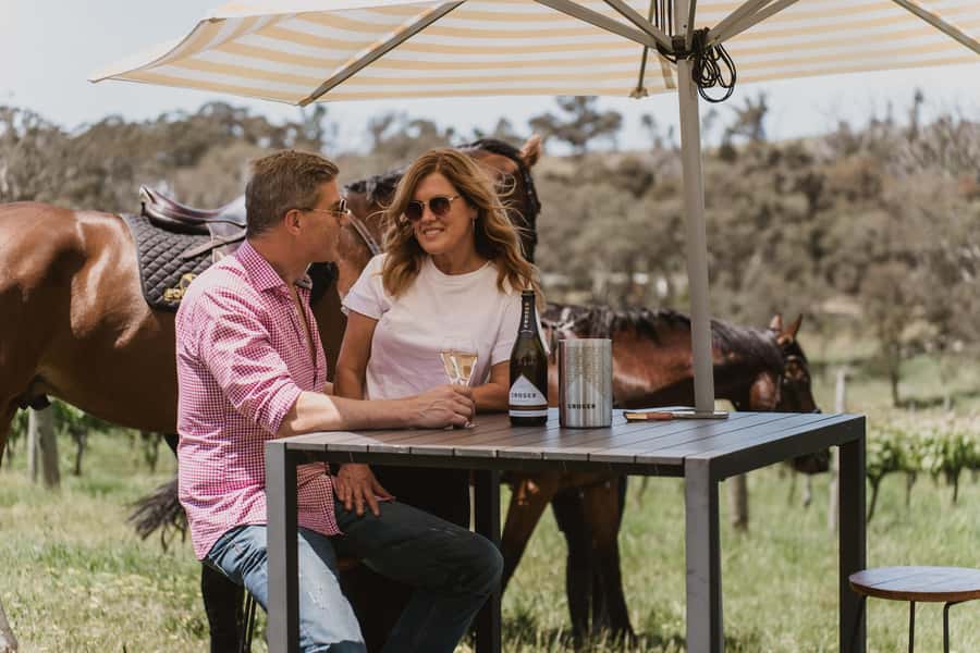 Petaluma: Horseback Riding and Wine Tasting Tour - Returning the Horses and Meeting Them Again