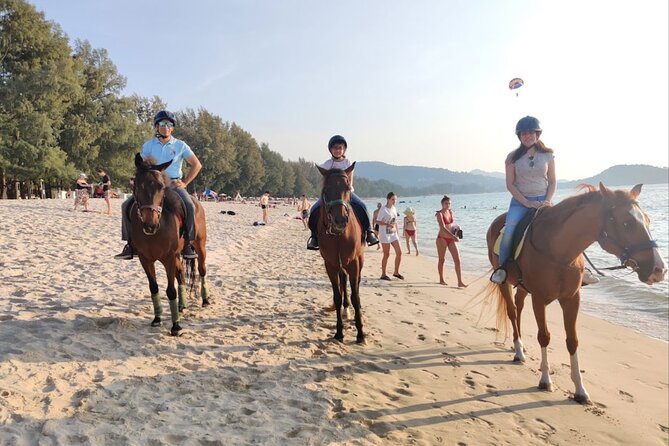 Phuket Beach and Horse Rides 1 Hour Experience - Starting at the Kamala Horse Riding Club