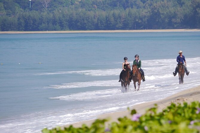 Phuket Beach and Horse Rides 1 Hour Experience - Walking and trotting beside the water