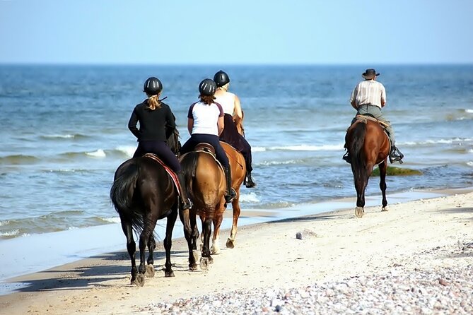 Phuket Beach and Horse Rides 1 Hour Experience - Practical clothing and timing advice