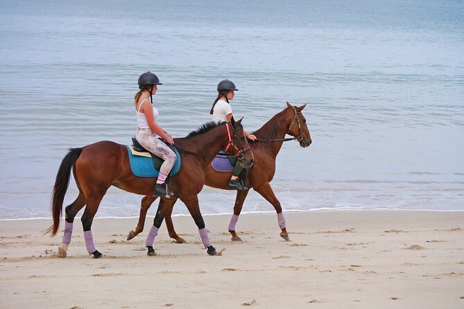 Phuket Beach and Horse Rides 1 Hour Experience - Crossing to the sand and reaching Kamala Beach