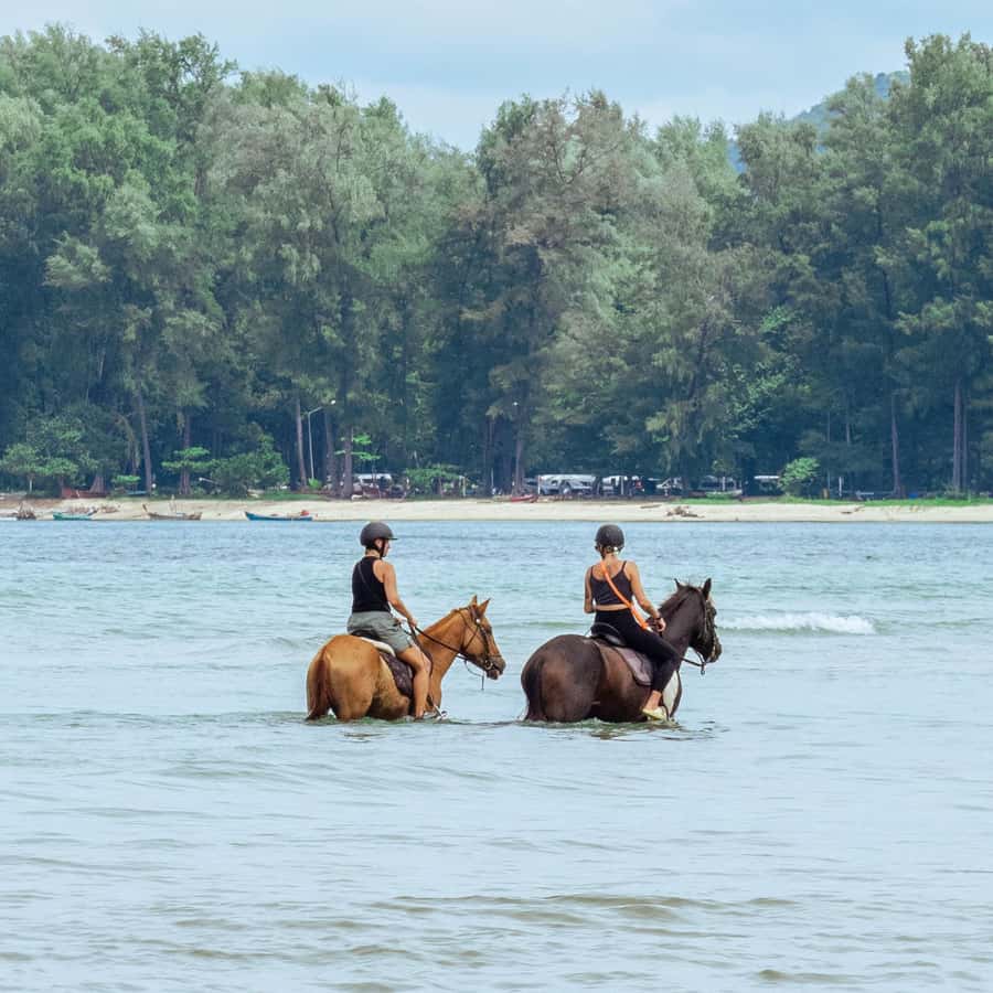 Phuket Beach Horseback Adventure - Key points to know before booking