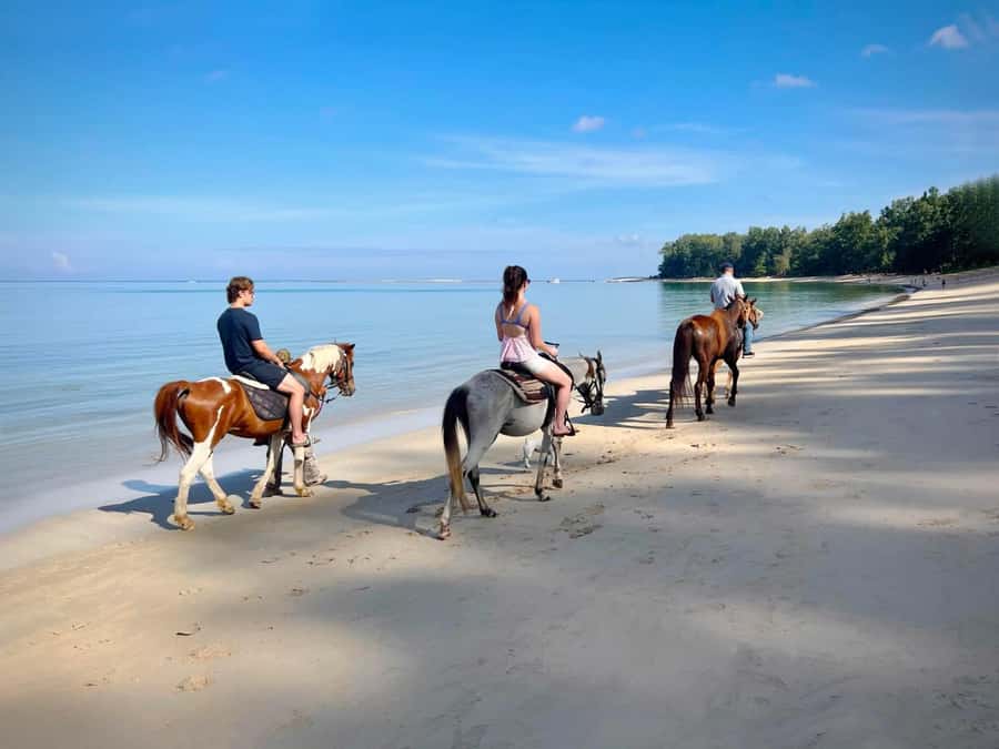 Phuket Beach Horseback Adventure - From the stable to Nai Yang Beach