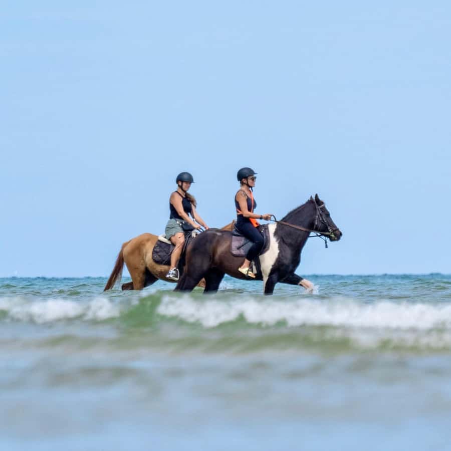 Phuket Beach Horseback Adventure - How much riding experience do you need?