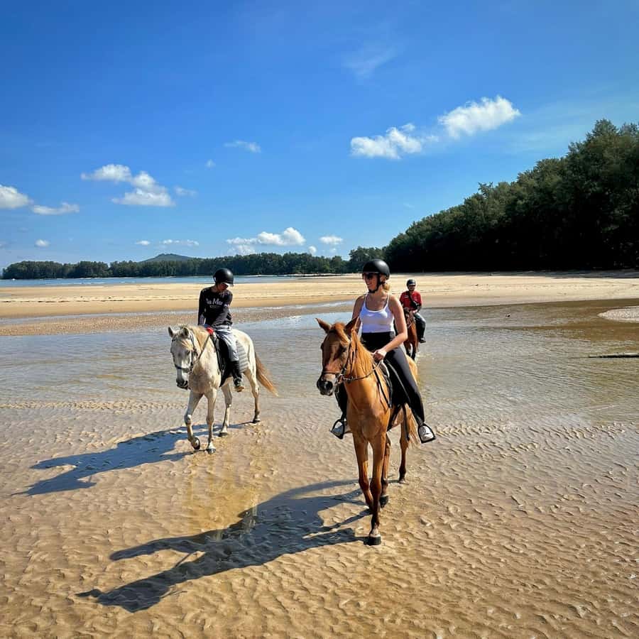 Phuket Beach Horseback Adventure - Is $75 good value for one hour?