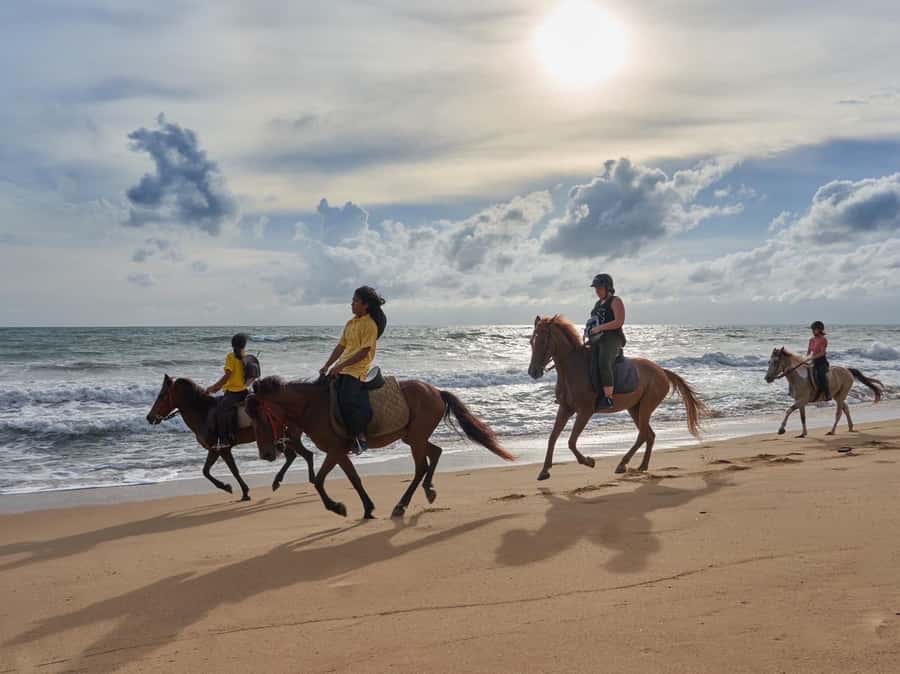 Phuket: Kamala Beach Horse Riding Activity - Quick points to know