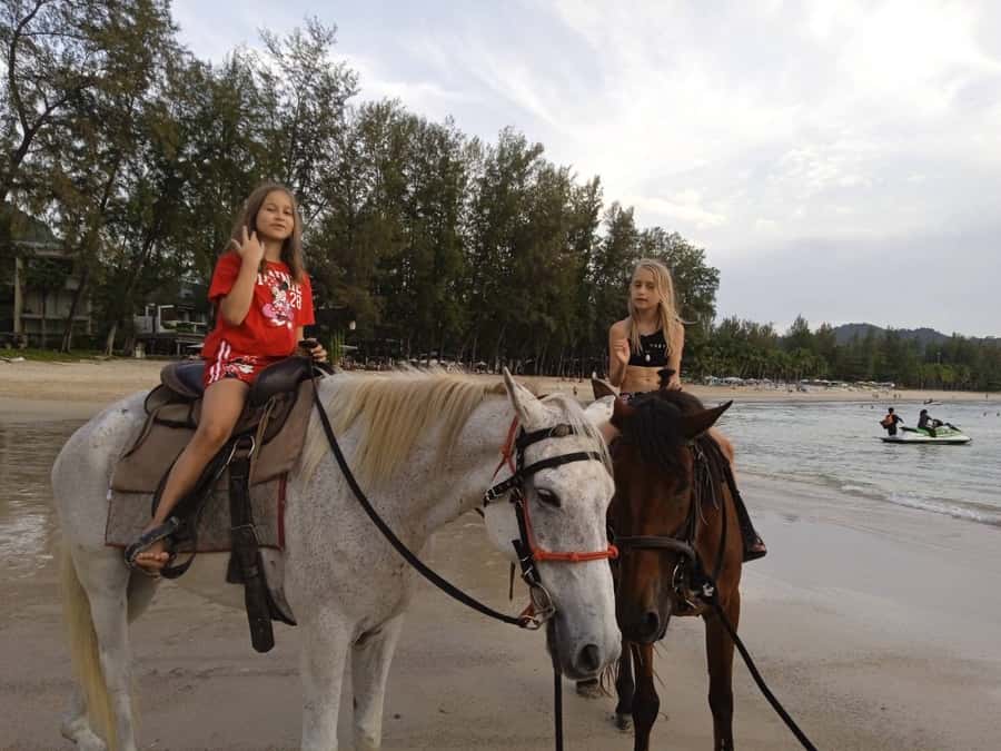 Phuket: Kamala Beach Horse Riding Activity - Booking rules and practical cautions