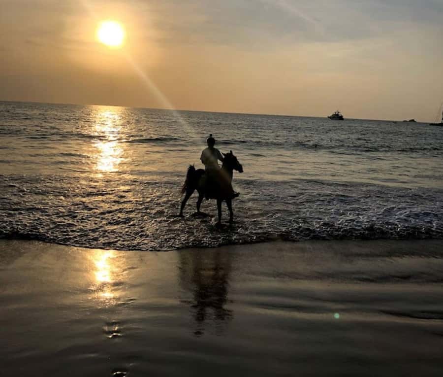 Phuket: Sunset Beach Horseback Journey - Key points at a glance