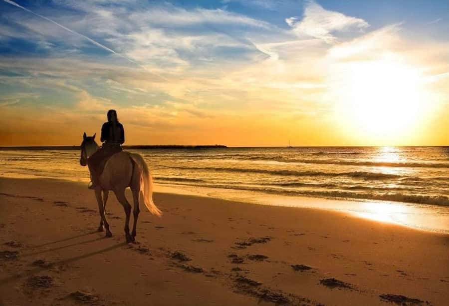 Phuket: Sunset Beach Horseback Journey - The main attraction: Nai Yang Beach at sunset