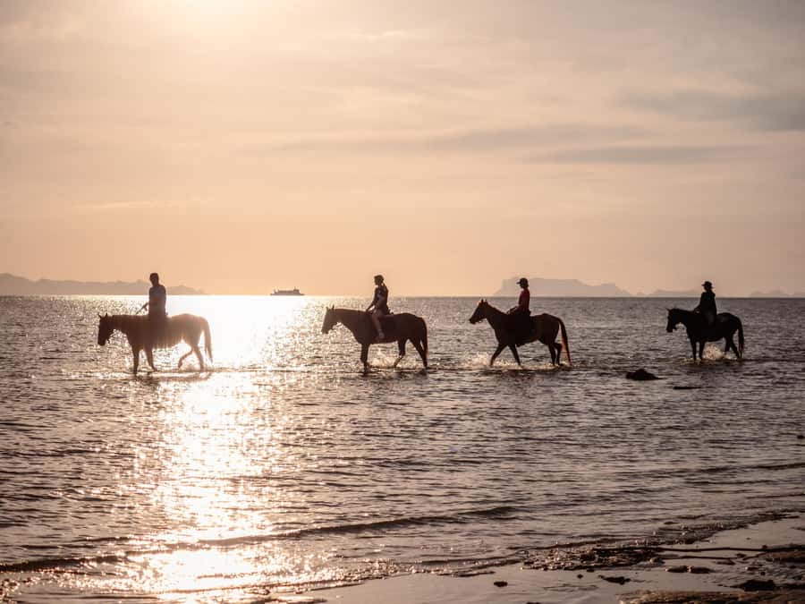 Phuket: Sunset Beach Horseback Journey - Can you really ride into the sea?