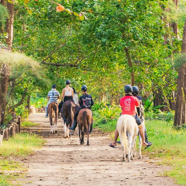 Phuket: Sunset Beach Horseback Journey - Who will enjoy this ride most?