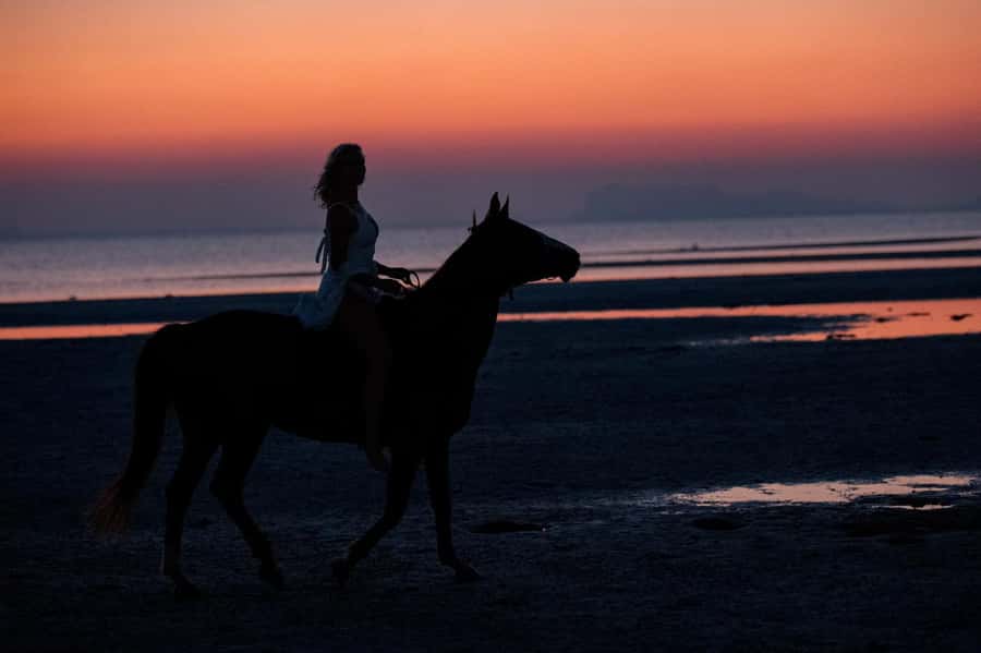 Phuket: Sunset Beach Horseback Journey - What the $91 price covers