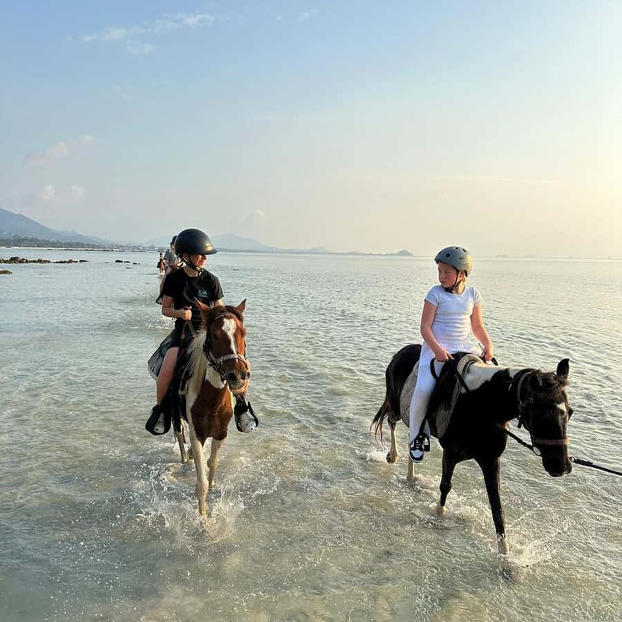 Phuket: Sunset Beach Horseback Journey - Getting there without a hotel transfer