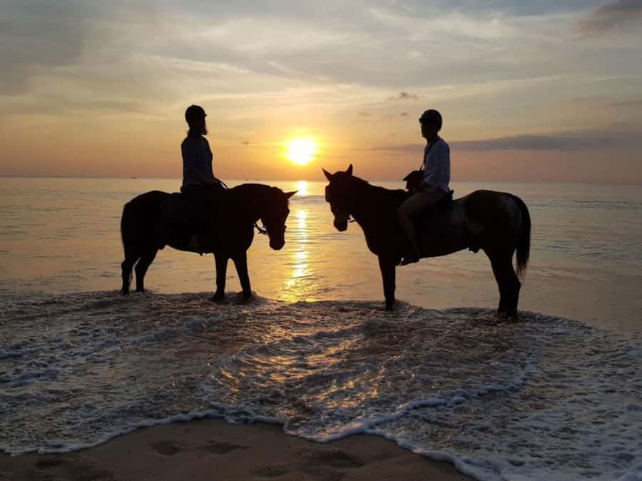 Phuket: Sunset Beach Horseback Journey - Through the gardens before the coast