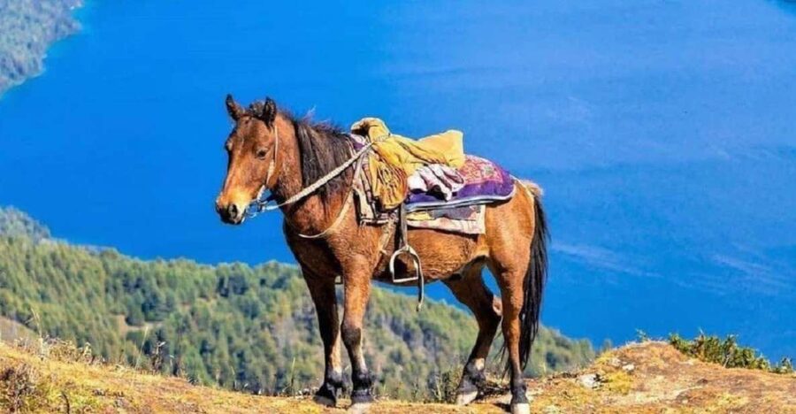Pokhara: 1-Hour Horseback Ride with Hotel Pickup - Why This One-Hour Ride Works in Pokhara