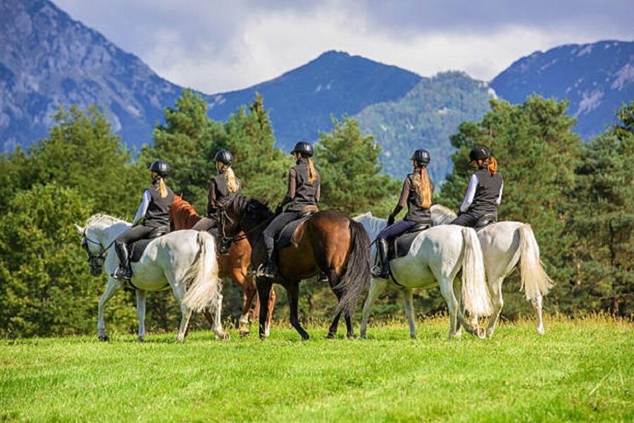 Pokhara: 1-Hour Horseback Ride with Hotel Pickup - Who Should Book This Ride?