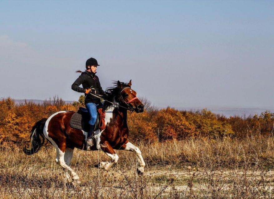 Pokhara: Horseback Adventure - Meeting the horses and guide