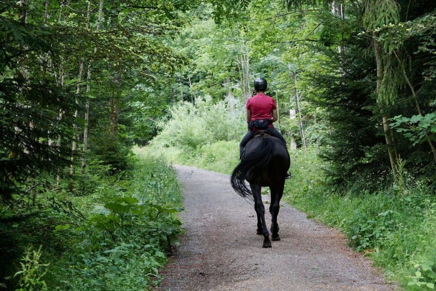 Pokhara: Horseback Adventure - Starting from your lakeside hotel