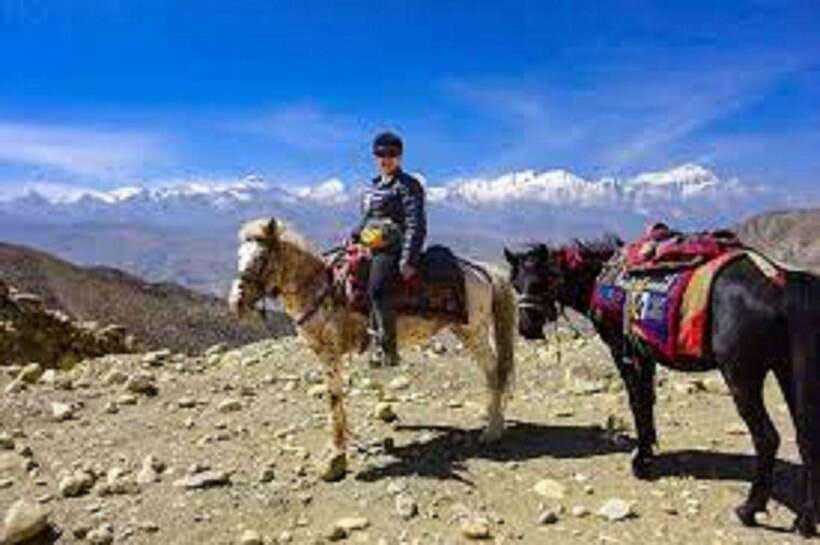 Pokhara: Horseback Riding Adventure with Hotel Pickup - Safety briefing and choosing the right route