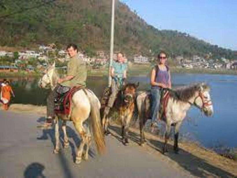 Pokhara: Horseback Riding Adventure with Hotel Pickup - Horse care and your responsibility as a rider