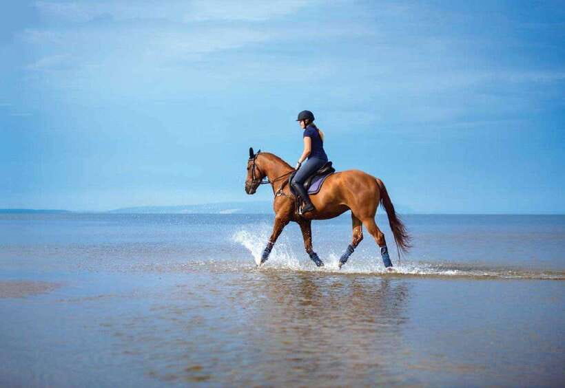 Pokhara: Horseback Riding Adventure with Hotel Pickup - Guide quality and the private-group advantage
