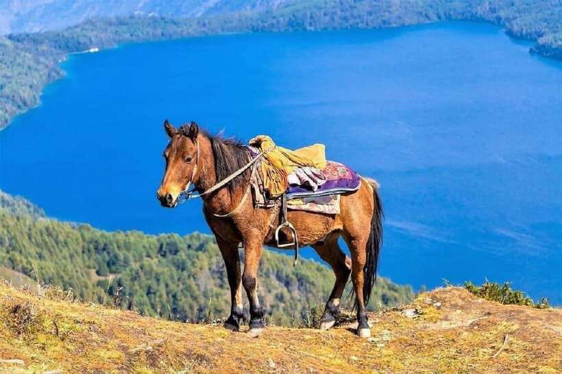 Pokhara: Horseback Riding Adventure with Hotel Pickup - Pickup around Lakeside Road 6