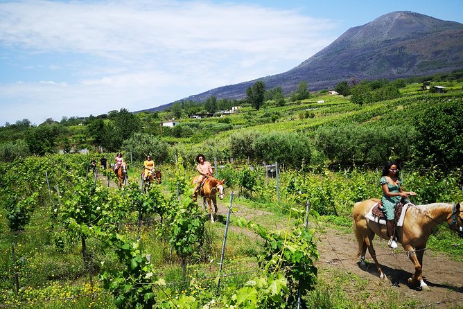 Pompeii Guided Tour & Horse Riding on Vesuvius with Lunch - Two hours inside a Roman city