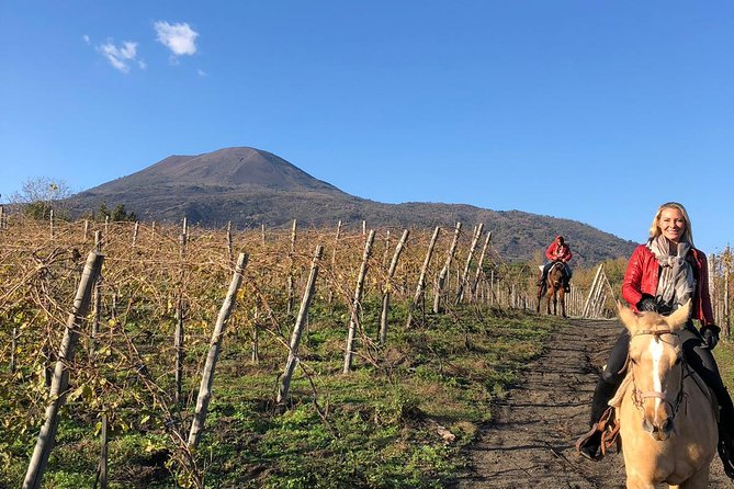 Pompeii Guided Tour & Horse Riding on Vesuvius with Lunch - Is $240.65 a fair price?