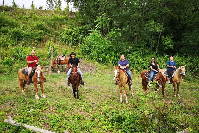 Pompeii Guided Tour & Horse Riding on Vesuvius with Lunch - Who will enjoy this best?