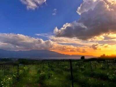 Pompeii: Mount Vesuvius Night Horseback Ride and Italian BBQ