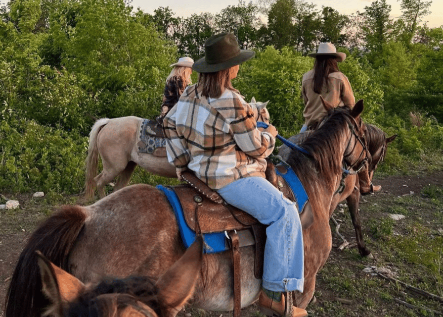 Pompeii: Mount Vesuvius Night Horseback Ride and Italian BBQ - Who will enjoy this most