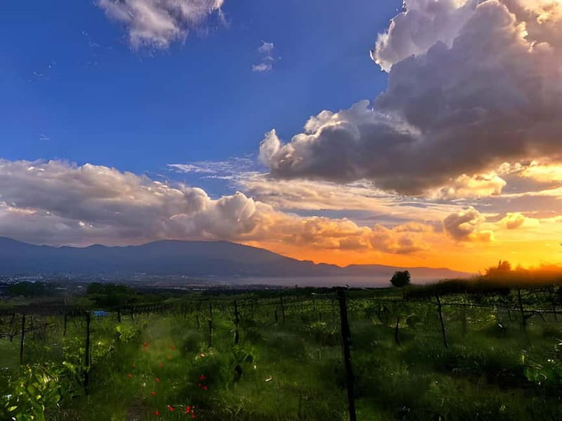 Pompeii: Mount Vesuvius Night Horseback Ride and Italian BBQ - Pickup from Pompeii and seven nearby towns