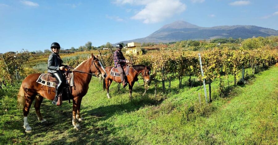 Pompeii: Ruins Tour and Mount Vesuvius Horseback Ride - At a glance