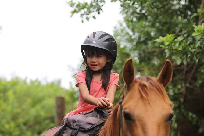 Pony Rides For Kids - Is $77 a fair price?