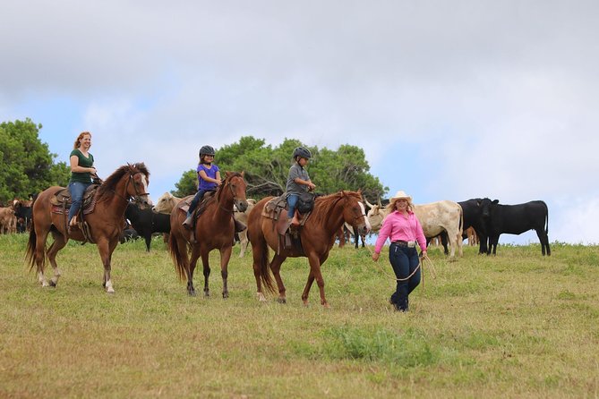 Pony Rides For Kids - What happens during the 30-minute pony ride