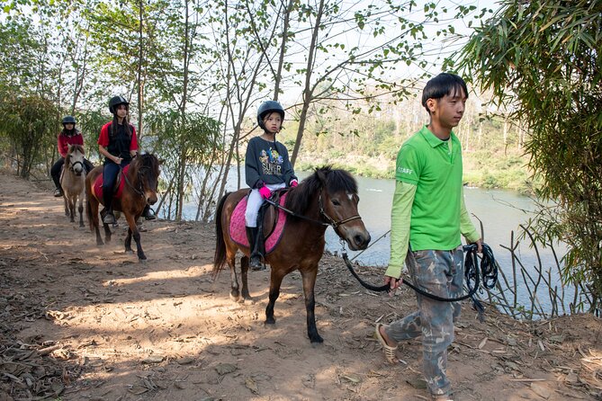 Pony Riding in Luang Prabang - Who will enjoy this ride most?