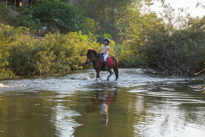 Pony Riding in Luang Prabang - Village paths, forest tracks, and Namkhan River views