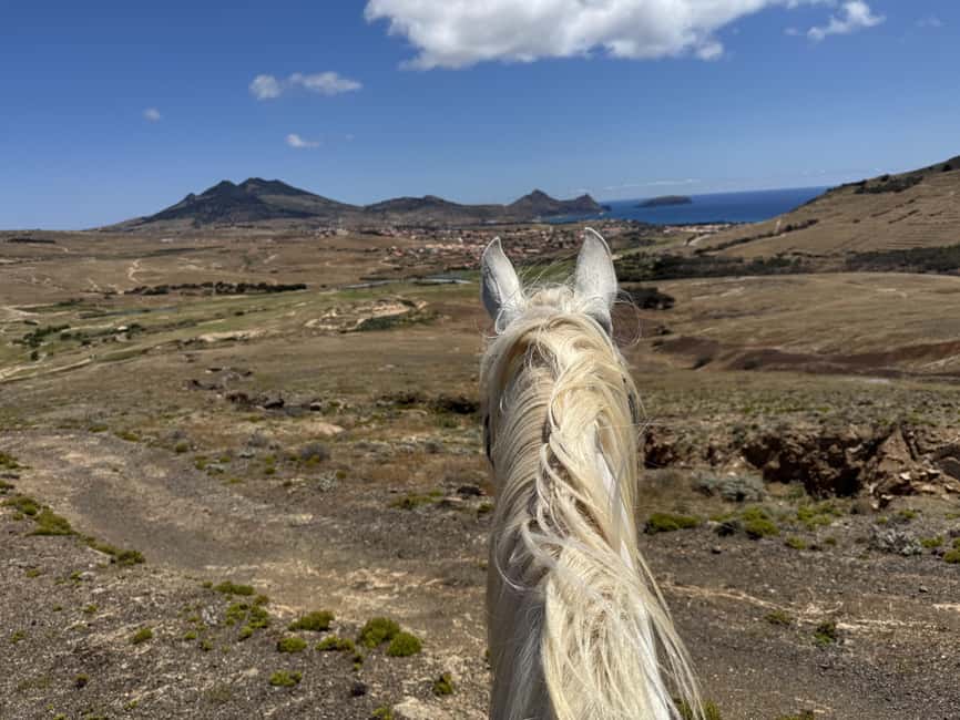 Porto Santo Island: Horse Riding - One hour on Porto Santo’s trails