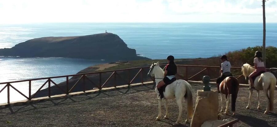 Porto Santo Island: Horse Riding - The hard, stony ground is worth taking seriously